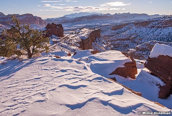 Capitol Reef Winter 010215 3330