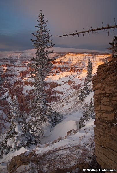 Cedarbreaksframe102909 219
