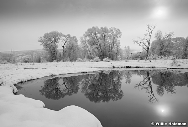 Pond Reflection WinterBW 041513 8659