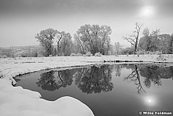 Pond Reflection WinterBW 041513 8659