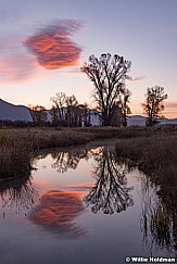 Tree Cloud Reflection 101714 5365 3