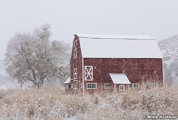 Red Barn Snow 110915 2007 3