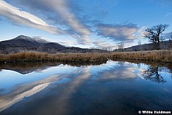 Reflection Pond Heber 112216 6