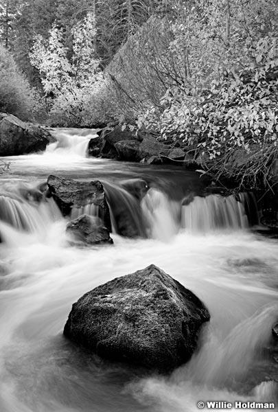 BigcottonwoodstreamBW102010