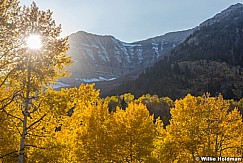 Autumn Golden Aspen Road 101017 1124 3