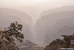 Kanab Point Layers 042518 6983