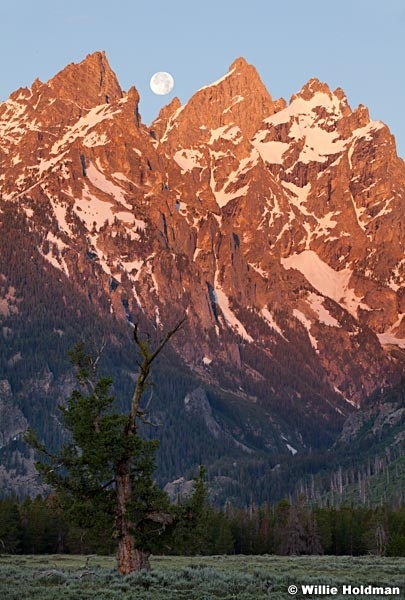 Fullmoontetons071511 2955
