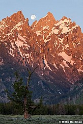 Fullmoontetons071511 2955