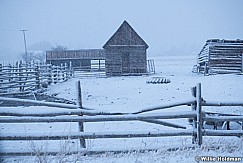 Old Tack Shed Snow 110820 0774 2