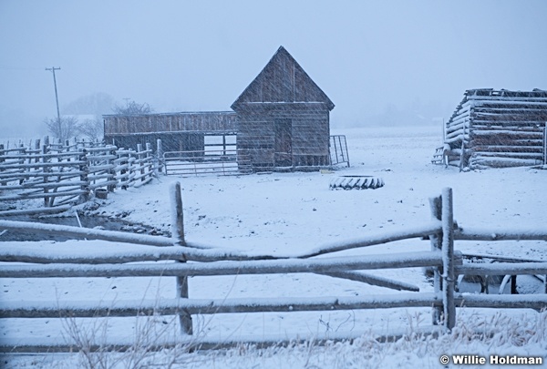 Old Tack Shed Snow 110820 0774 2