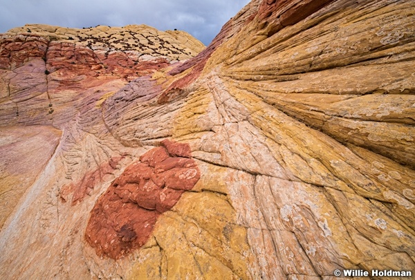 Capitol Reef Color 0521 0774