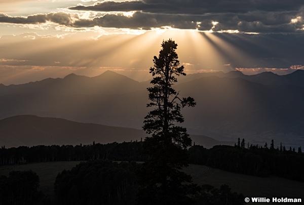 Sun Rays Heber 080816 3