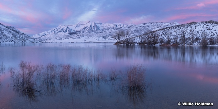 Deer Creek Pink Timp 030417