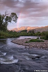 Rainbow Deer Provo River 090319