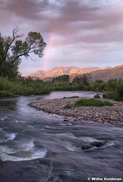 Rainbow Deer Provo River 090319