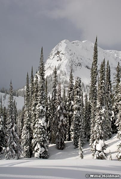 powdersummit021507