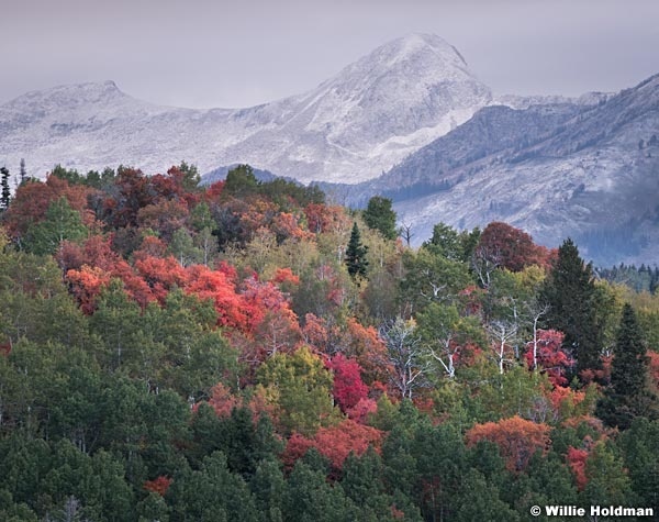 Pfeifferhorn Dusting Autumn 092919 3756 4