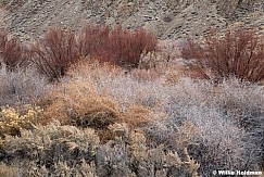 Siever River Bottoms 111825 5712 2