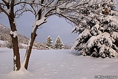 12180658