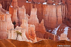 Bryce Canyon hoodoos 032012 99