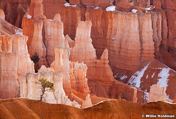 Bryce Canyon hoodoos 032012 99