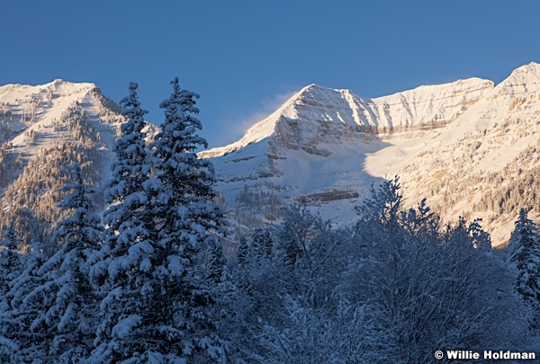 Frosty Timpanogos TwoPines 121912 250