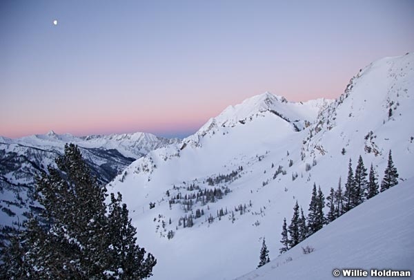 superiorpreglow22608 063