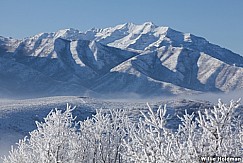 Cascade Mountain 122012 198