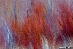 Abstractimpressions101510 5255