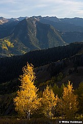 Big Cottonwood Aspen 092016 4421 3