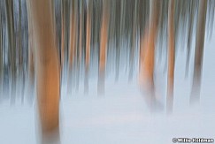 Aspenabstract120310 3