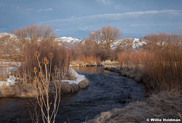 Timpanogos Marsh 030613 531