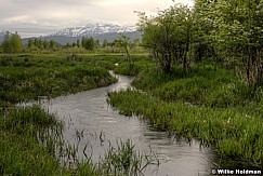 Timpanogos River Bottoms 0517