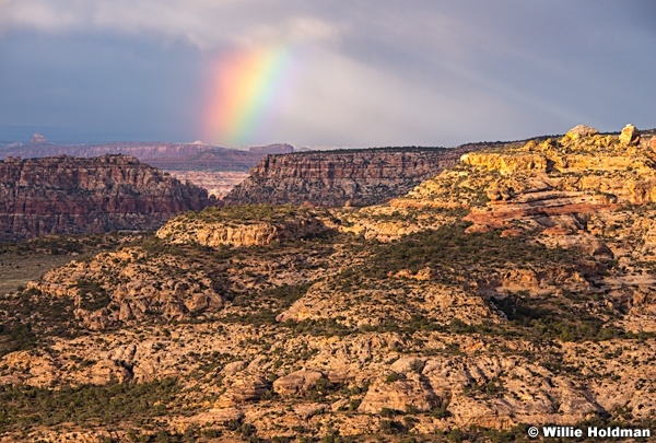 Beef Basin Rainbow 050415 9313 2