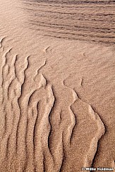 Dunepatterns082711 748