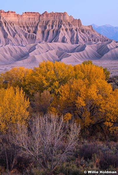 Cottonwood Badlands 102120 8622 4