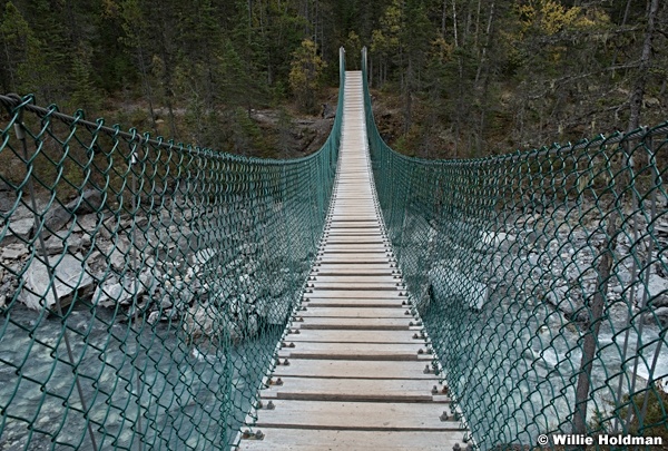 Swinging Rope Bridge 092518 2845