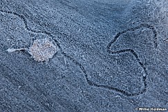 Frostyaspenleaf100911 374