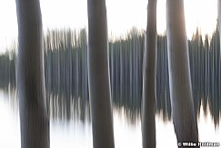 Aspen Lake Abstract 060518 9499