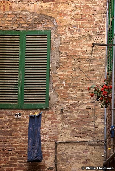 Siena092409 499