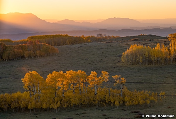 Aspen Sunrise Boulder Mountain 101122 2712