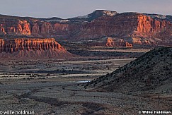 DSC 2154 2