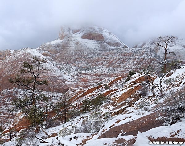 Zion Snow 031912a
