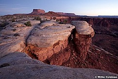 whiterimecanyonlands110610 9132