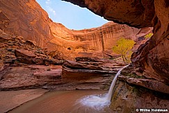 Waterfall Escalante 110416 0657 2