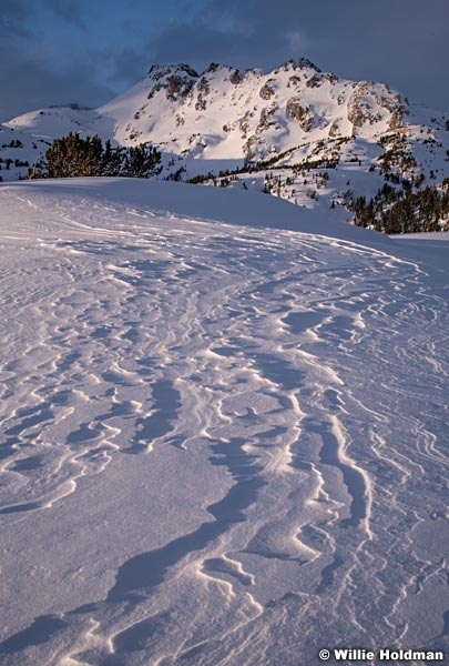 Beartooth Moutain Wind Drift 032018 7012