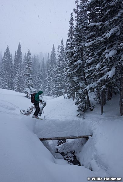 Backcountry skier 022513 00729