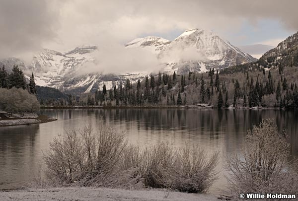 Timpanogosmonochrome 715