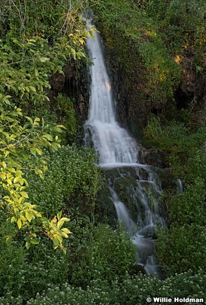 Green Waterfal 061218 1080