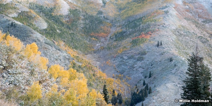 Dustingmillpeakpan